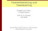 Teamentwicklung und Teamtraining Gruppen und Teams in Organisationen Prof. Dr. N. Schaper WS 05/06 Thomas Kleine | Diana Todorovic | Fred Kirschstein Mavela.
