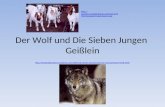 Der Wolf und Die Sieben Jungen Geißlein  .
