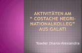 Toader Diana-Alexandra. Mein Name ist Toader Diana-Alexandra,ich bin 16 Jahre alt und besuche das Costache Negri-Nationalkolleg aus Galati. In meiner