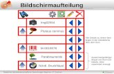 Staatliche Naturwissenschaftliche Sammlungen Bayerns IT-Zentrum  Bildschirmaufteilung Pluteus cervinus Nördl. Bruckhäusl Parabraunerde.