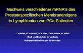 Nachweis verschiedener mRNAs des Prostataspezifischen Membranantigens in Lymphknoten von PCa-Patienten U. Fiedler, A. Manseck, R. Kranz, J. Herrmann, M.