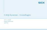CAQ-Systeme - Grundlagen DIV 1 1P/QM Daniel Schimanek 12.01.2014.