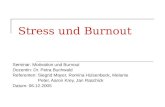 Stress und Burnout Seminar: Motivation und Burnout Dozentin: Dr. Petra Buchwald Referenten: Siegrid Mayer, Romina Hülsenbeck, Melanie Peter, Aaron Krey,