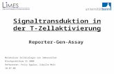 Signaltransduktion in der T- Zellaktivierung Reporter-Gen-Assay Molekulare Zellbiologie von Immunzellen Blockpraktikum SS 2008 Referenten: Felix Eppler,