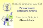 Thisbe K. Lindhorst, CAU Kiel Vorlesungsnetz Biologische Chemie Chemische Biologie II Glycobiologie.