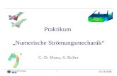 1 Praktikum Numerische Strömungsmechanik C.-D. Munz, S. Roller.