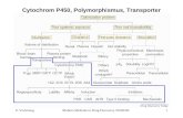 9. VorlesungModern Methods in Drug Discovery WS05/061 Cytochrom P450, Polymorphismus, Transporter.