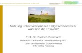 1 | Jahrestagung Deutsche Physikalische Gesellschaft – 6. März 2013 Nutzung unkonventioneller Erdgasvorkommen: was sind die Risiken? Prof. Dr. Dietrich.