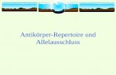 Antikörper-Repertoire und Allelausschluss. Antikörperrepertoire Definition: Antikörperrepertoire (Immunglobulinrepertoire) ist die vollständige Sammlung.