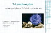 T-Lymphozyten Naive periphere T-Zell-Populationen Fachmodul Immunologie (Jäck/Beuscher) Jenny Ostrop 3.11.2010 .