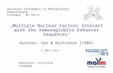 Bachelor-Fachmodul in Molekularer Immunologie Erlangen WS 10/11 Multiple Nuclear Factors Interact with the Immunogloblin Enhancer Sequences Autoren: Sen.