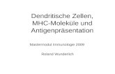 Dendritische Zellen, MHC-Moleküle und Antigenpräsentation Mastermodul Immunologie 2009 Roland Wunderlich.