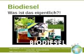 Team Biodiesel : Judith Kämmerling, Vanessa Lohrmann, Hans Christian Ohm, Katrin Rahmlow, Victoria Schrader, Johannes Völker ( Goethe-Gymnasium ) Tutor.