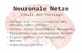 Neuronale Netze Inhalt des Vortrags: Aufbau und Funktionsweise des menschlichen Gehirns Aufbau eines neuronalen Netzwerks Trainieren von neuronalen Netzen.