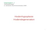 Untermodul 5 - 2 Andropathologie 6. Semester (Sommersemester) 2009 Hodenhypoplasie Hodendegeneration 1.
