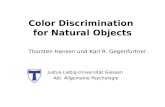 Color Discrimination for Natural Objects Justus-Liebig-Universität Giessen Abt. Allgemeine Psychologie Thorsten Hansen und Karl R. Gegenfurtner.