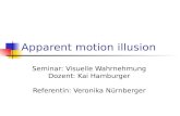Apparent motion illusion Seminar: Visuelle Wahrnehmung Dozent: Kai Hamburger Referentin: Veronika Nürnberger.