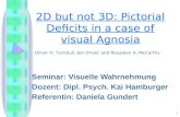 1 2D but not 3D: Pictorial Deficits in a case of visual Agnosia Seminar: Visuelle Wahrnehmung Dozent: Dipl. Psych. Kai Hamburger Referentin: Daniela Gundert.
