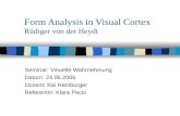Form Analysis in Visual Cortex Rüdiger von der Heydt Seminar: Visuelle Wahrnehmung Datum: 24.05.2005 Dozent: Kai Hamburger Referentin: Klara Pecsi.