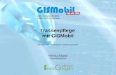 Trassenpflege mit GISMobil Helmut Müller Geschäftsführer Das Geographische Informationssystem GIS-Forum 2007, PfalzAkademie, Lambrecht, 30.10.2007.