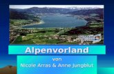 Alpenvorland von Nicole Arras & Anne Jungblut. Inhalt Fläche Eigenschaften Entstehung Böden & Landschaft Bilder Nutzung Industrie Klima Wirtschaft Tourismus.