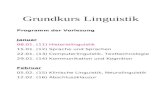 Grundkurs Linguistik Programm der Vorlesung Januar 08.01. (11) Historiolinguistik 15.01. (12) Sprache und Sprachen 22.01. (13) Computerlinguistik, Texttechnologie.