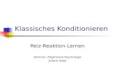 Klassisches Konditionieren Reiz-Reaktion-Lernen Seminar: Allgemeine Psychologie Juliane Voigt.