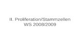 II. Proliferation/Stammzellen WS 2008/2009. Identität embryonaler neuraler Vorläuferzellen.