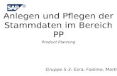 Product Planning Gruppe 5-3: Esra, Fadime, Martin Anlegen und Pflegen der Stammdaten im Bereich PP ®