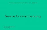 1 Georeferenzierung Proseminar Geoinformation WS 2002/03 Andreas Weinberger 13.01.2003.