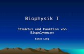 Biophysik I Struktur und Funktion von Biopolymeren Elmar Lang.