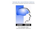 Dekade des menschlichen Gehirns Eine Initiative führender deutscher Hirnforscher.
