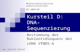 Kursteil D: DNA-Sequenzierung Bestimmung der Nukleotidsequenz der cDNA VfNDS-A Molekularbiologische Arbeitstechniken WS 2004/05 von Jennifer Wetzel.