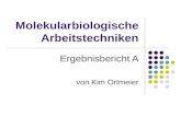 Molekularbiologische Arbeitstechniken Ergebnisbericht A von Kim Ortmeier.