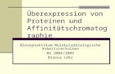 Überexpression von Proteinen und Affinitätschromatographie Blockpraktikum Molekularbiologische Arbeitstechniken WS 2004/2005 Bianca Löhr.