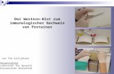 Der Western-Blot zum immunologischer Nachweis von Proteinen von Tim Grotjohann Veranstalter Lehrstuhl für Genetik Universität Bielefeld.