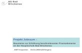 HS Bad Brückenau Projekt Jobraum – Bausteine zur Erhöhung berufsrelevanter Praxiselemente an der Hauptschule Bad Brückenau AWT-Experten 05.03.2008 (Dillingen)