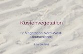 K¼stenvegetation S: Vegetation Nord-West- Deutschlands Lea Bonblet
