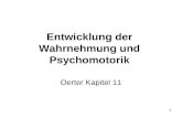 1 Entwicklung der Wahrnehmung und Psychomotorik Oerter Kapitel 11.