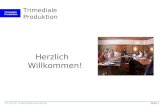 Trimediale Produktion Seite 1 Prof. J. WALTER Trimediale Produktion Stand: März 2002 Trimediale Produktion Herzlich Willkommen!