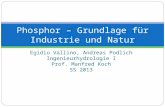 Egidio Vallino, Andreas Podlich Ingenieurhydrologie I Prof. Manfred Koch SS 2013 Phosphor – Grundlage für Industrie und Natur.