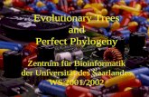 Evolutionary Trees and Perfect Phylogeny Zentrum für Bioinformatik der Universität des Saarlandes WS 2001/2002.