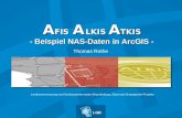 A FIS A LKIS A TKIS - Beispiel NAS-Daten in ArcGIS - Thomas Rothe Landesvermessung und Geobasisinformation Brandenburg, Dezernat Strategische Projekte.