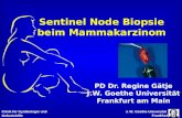 J. W. Goethe-Universität Frankfurt Klinik für Gynäkologie und Geburtshilfe Sentinel Node Biopsie beim Mammakarzinom PD Dr. Regine Gätje J.W. Goethe Universität.