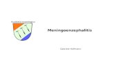 Gabriele Hoffmann Meningoenzephalitis. DGN-Leitlinien Kapitel: Entzündliche und erregerbedingte Erkrankungen - Bakterielle Meningoenzephalitis - Virale.