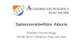 Spinozerebelläre Ataxie András Vincze-Nagy 30.06.2010, Klinikum Plau am See.