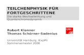TEILCHENPHYSIK FÜR FORTGESCHRITTENE Die starke Wechselwirkung und Quantenchromodynamik Robert Klanner Thomas Schörner-Sadenius Universität Hamburg, IExpPh.