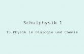 Schulphysik 1 15.Physik in Biologie und Chemie. Schulphysik 1.15 Gemeinsamkeiten aller Naturwissenschaften Untersuchungsgegenstand Natur: Objekt des menschlichen.