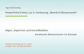 Ingo Rechenberg PowerPoint-Folien zur 4. Vorlesung Bionik II / Biosensorik Algen, Daphnien und Kartoffelkäfer Exotische Biosensoren im Einsatz Weiterverwendung.