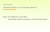 Ingo Rechenberg PowerPoint-Folien zur 10. Vorlesung Bionik I Berg- und Talbahnen in der Natur Bolzenflug, Schwimmspringen und Achterbahnsegeln.